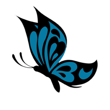 A blue and black butterfly logo on a white background representing accounting services.